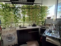 Loft @ Nathan (D10), Apartment #564803611